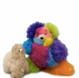 A colorful, fluffy teddy bear plush toy with rainbow-colored fur sits next to a small beige alpaca plush toy on a solid white background.