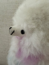 Andean Puff™ Sherbet Llama — 6"