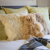 Cloud Touch 16-inch beige alpaca teddy bear sitting on a bed, handmade in Peru from genuine natural baby alpaca fur