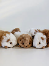 Top view of a life-size handmade alpaca fur guinea pig with realistic brown and white patterns and glass eyes.
