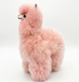 A fluffy pink alpaca plush toy with small gray ears, black eyes, and a white beak, standing against a plain white studio background.