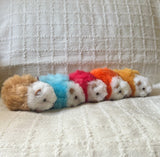 Rainbow Pride Guinea Pig Set