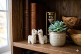 Two small felted alpaca figurines and a potted succulent on a wooden shelf with books and a candle.