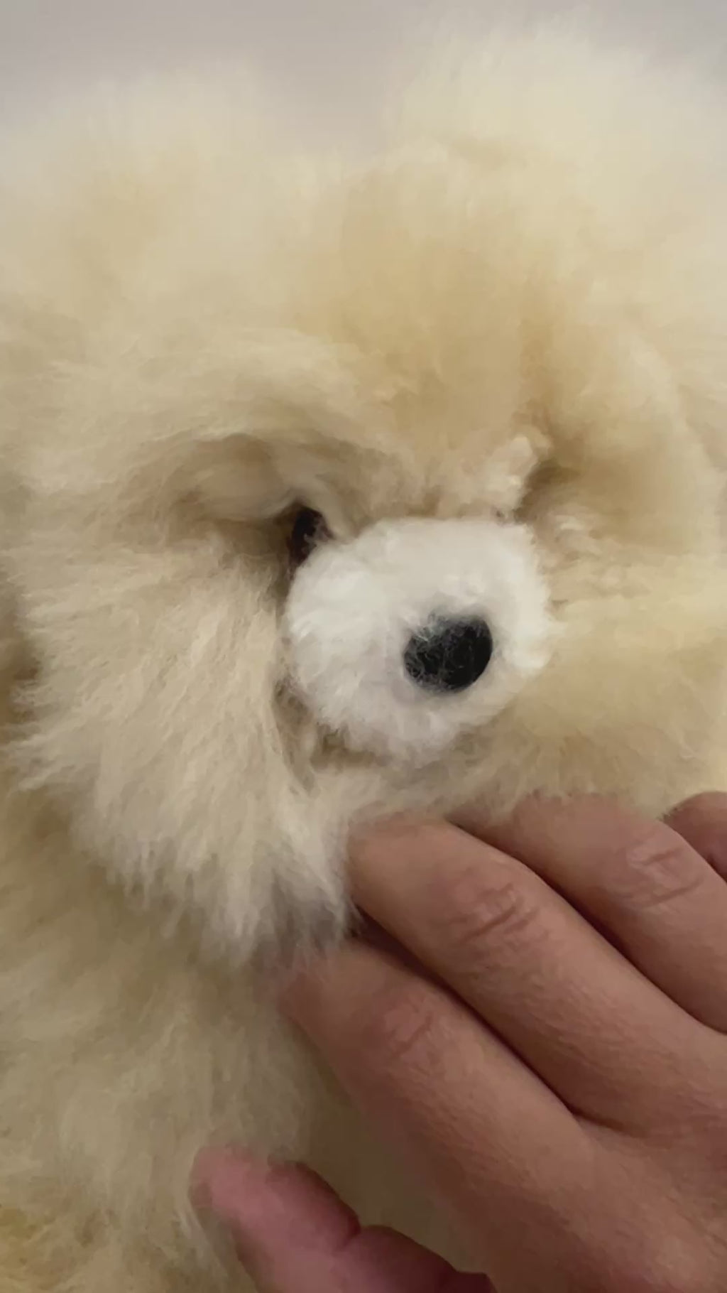 Close-up video showing the dense, bouncy texture of a 12-inch beige Huacaya alpaca bear being squeezed to demonstrate its signature softness and hand-embroidered safety eyes.