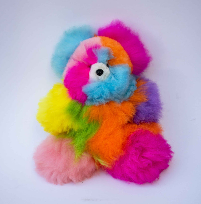 Rainbow Bear - Limited Edition