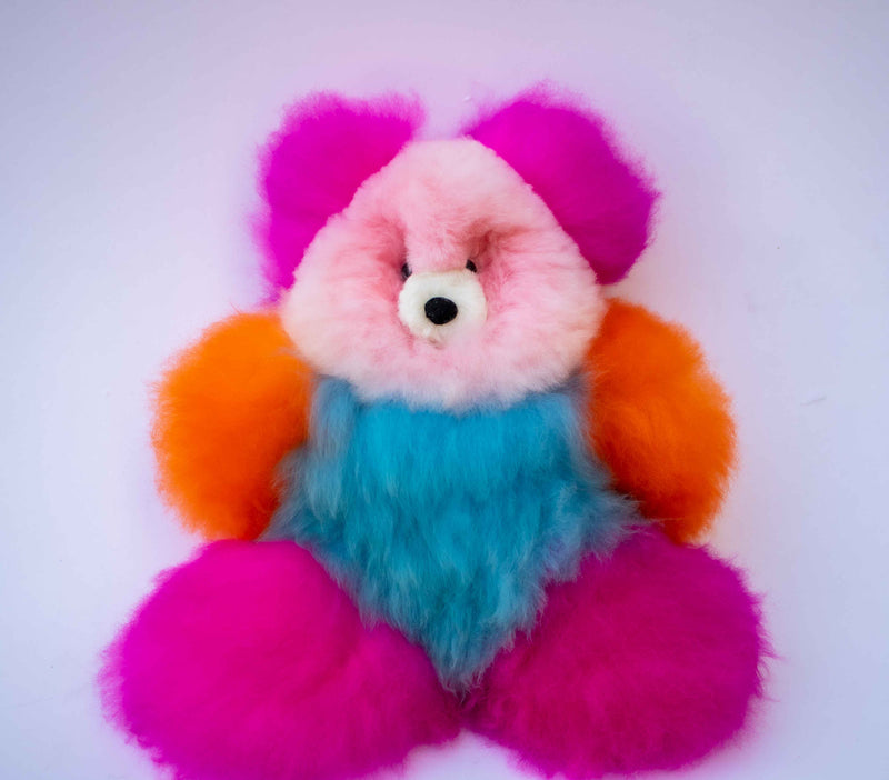 Rainbow Bear - Limited Edition