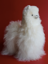 Llama White