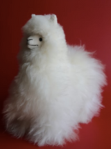 Llama White