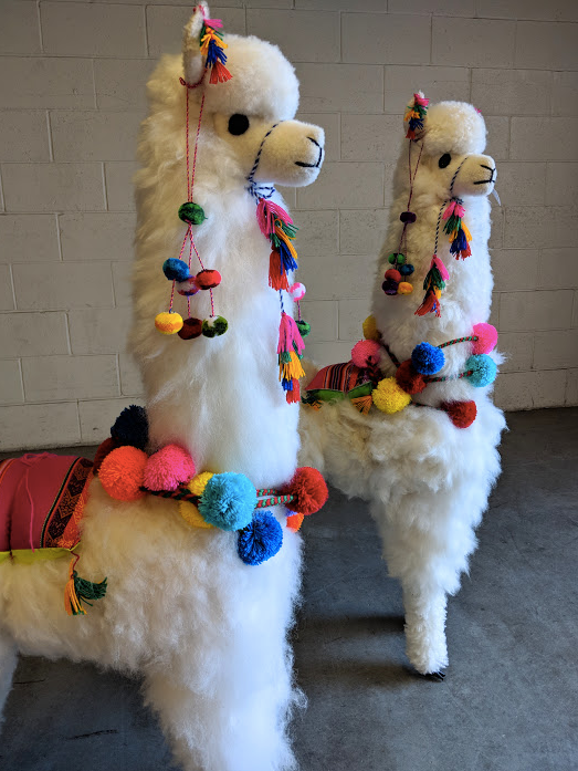 Large White Llama with Pompoms