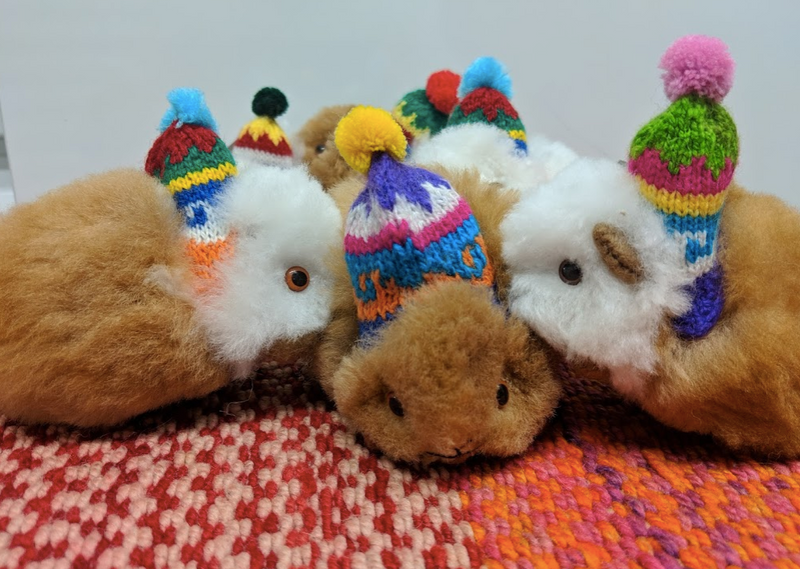 stuffed animal guinea pig with knitted colorful hat