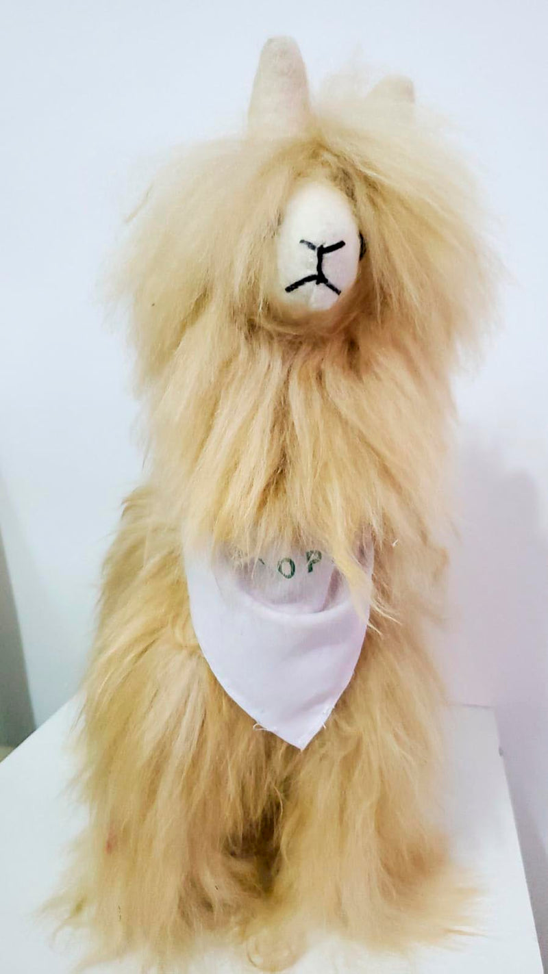 Custom Order - Aaron Sato
